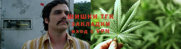 эйфоретик Баксан
