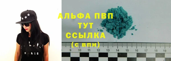 индика Пересвет