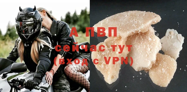 эйфоретик Баксан